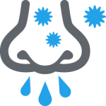12.png